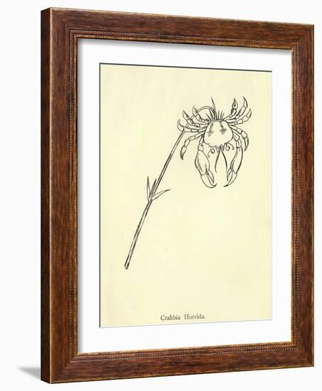 Crabbia Horrida-Edward Lear-Framed Giclee Print