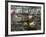 Crabbing Nets in Tee Harbor, Juneau, Southeast Alaska, Alaska, USA-Walter Bibikow-Framed Photographic Print