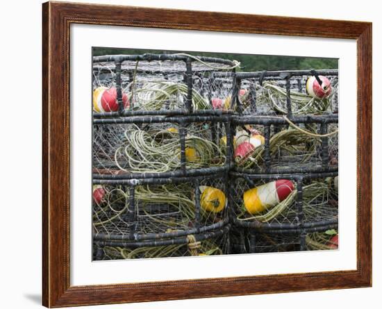 Crabbing Nets in Tee Harbor, Juneau, Southeast Alaska, Alaska, USA-Walter Bibikow-Framed Photographic Print