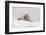 Crabeater seal (Lobodon carcinophaga), Portal Point, Antarctica, Polar Regions-Sergio Pitamitz-Framed Photographic Print