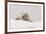 Crabeater seal (Lobodon carcinophaga), Portal Point, Antarctica, Polar Regions-Sergio Pitamitz-Framed Photographic Print