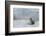 Crabeater Seal on Ice-Joe McDonald-Framed Photographic Print