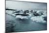 Crabeater Seals-Doug Allan-Mounted Photographic Print