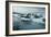 Crabeater Seals-Doug Allan-Framed Photographic Print