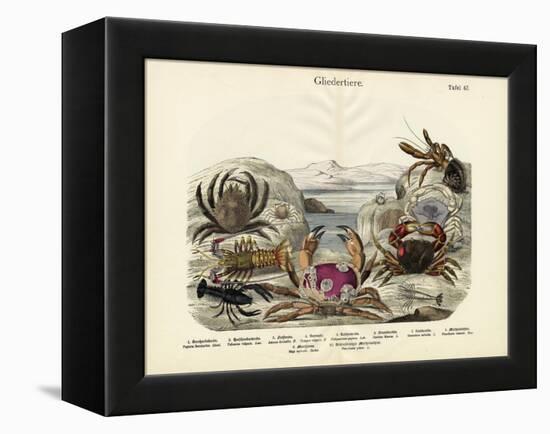 Crabs, C.1860-null-Framed Premier Image Canvas