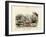 Crabs, C.1860-null-Framed Giclee Print