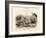 Crabs, C.1860-null-Framed Giclee Print