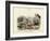 Crabs, C.1860-null-Framed Giclee Print