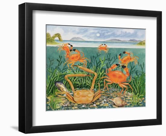 Crabs in the Ocean, 1997-E.B. Watts-Framed Giclee Print