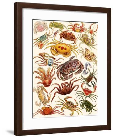 crabs soho