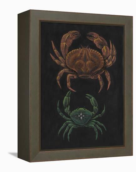 Crabs-Philip Henry Gosse-Framed Premier Image Canvas