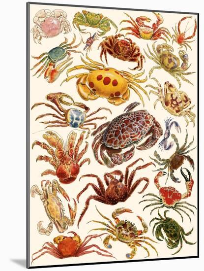 Crabs-English School-Mounted Giclee Print