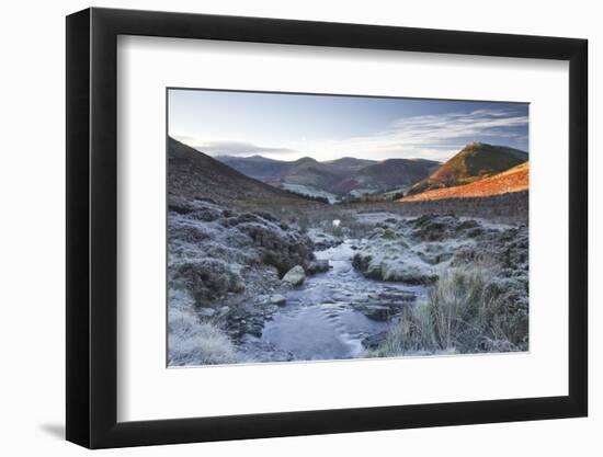 Crabtree Beck Running Down Loweswater Fell in the Lake District National Park-Julian Elliott-Framed Photographic Print