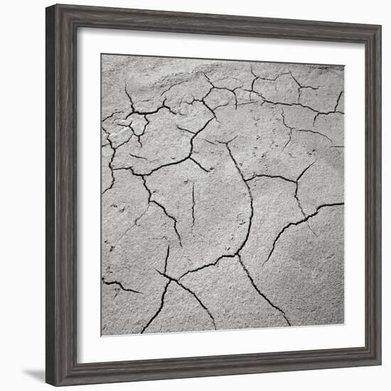 Cracked Desert Mud-null-Framed Photographic Print