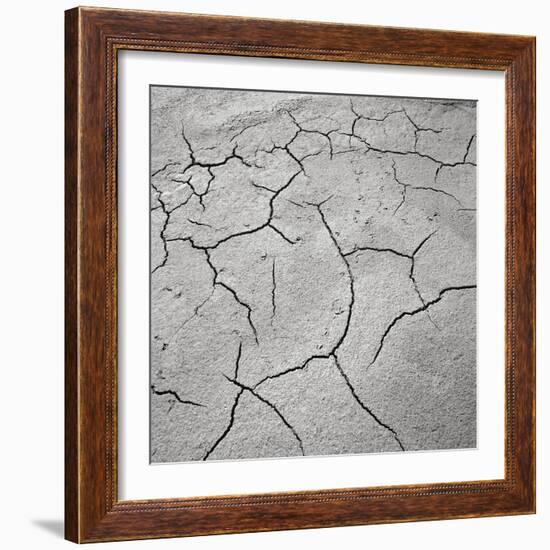 Cracked Desert Mud-null-Framed Photographic Print