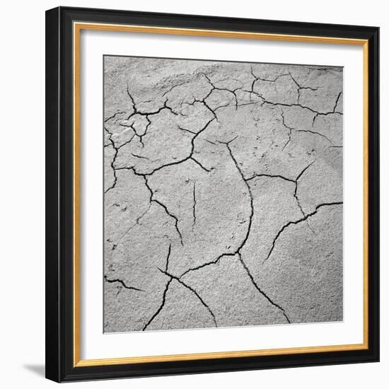 Cracked Desert Mud-null-Framed Photographic Print