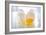 Cracked Egg-Steve Gadomski-Framed Photographic Print