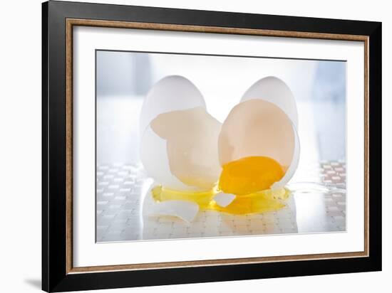 Cracked Egg-Steve Gadomski-Framed Photographic Print