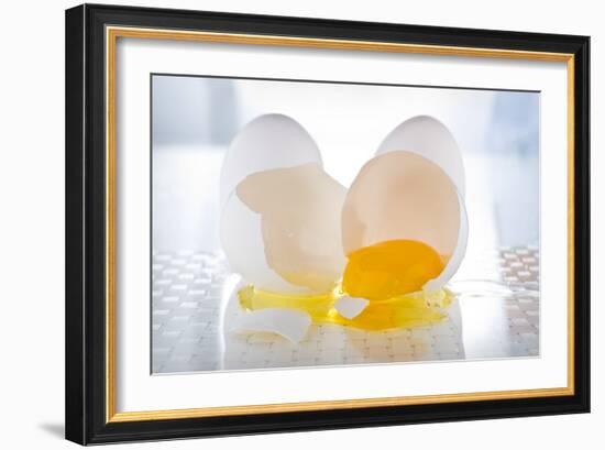 Cracked Egg-Steve Gadomski-Framed Photographic Print