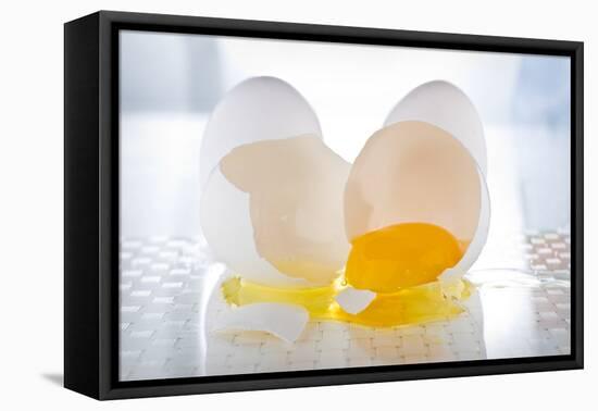 Cracked Egg-Steve Gadomski-Framed Premier Image Canvas