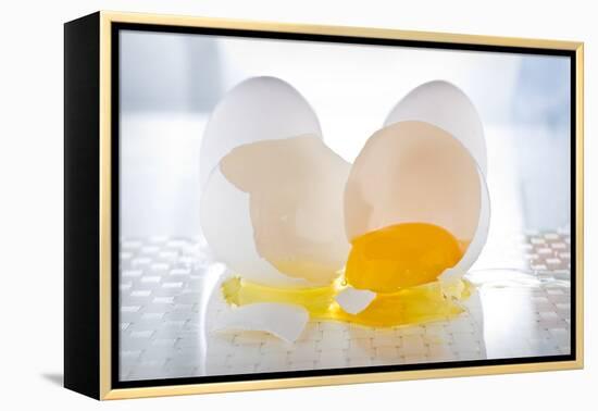 Cracked Egg-Steve Gadomski-Framed Premier Image Canvas