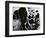 Cracked Glass, California, 1954-Brett Weston-Framed Photographic Print