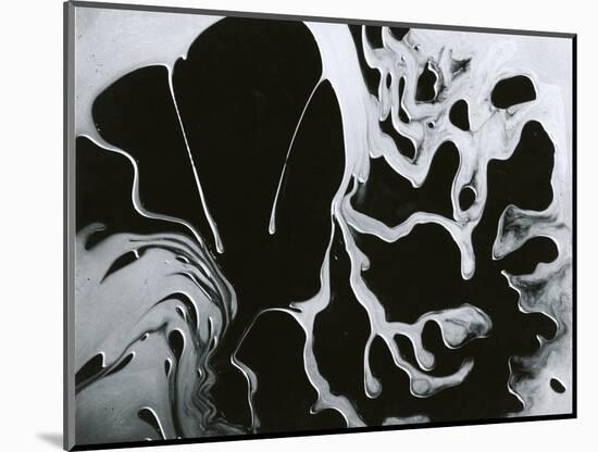 Cracked Glass, California, 1954-Brett Weston-Mounted Photographic Print