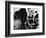 Cracked Glass, California, 1954-Brett Weston-Framed Photographic Print