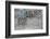 Cracked Glass-alexkar08-Framed Photographic Print