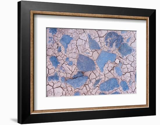 Cracked mud and blue stones, Fuerteventura, Canary Islands-Edwin Giesbers-Framed Photographic Print