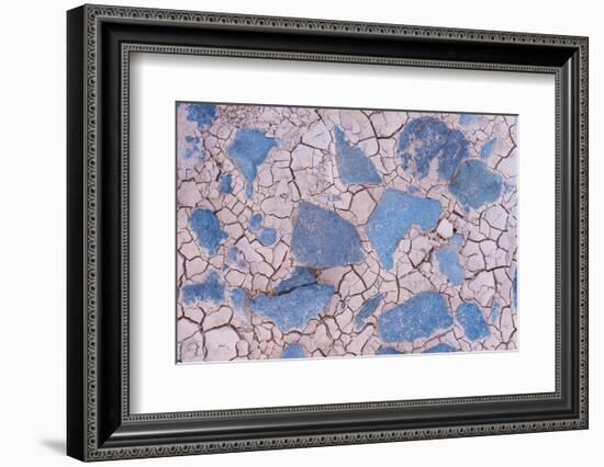 Cracked mud and blue stones, Fuerteventura, Canary Islands-Edwin Giesbers-Framed Photographic Print