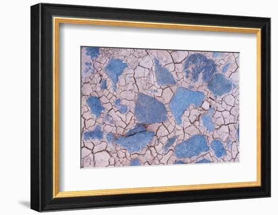 Cracked mud and blue stones, Fuerteventura, Canary Islands-Edwin Giesbers-Framed Photographic Print