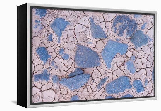 Cracked mud and blue stones, Fuerteventura, Canary Islands-Edwin Giesbers-Framed Premier Image Canvas