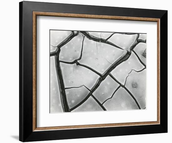 Cracked Mud, High Sierra, California, 1960-Brett Weston-Framed Photographic Print