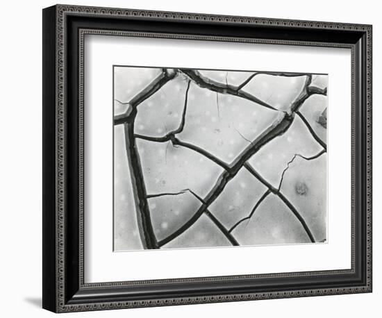 Cracked Mud, High Sierra, California, 1960-Brett Weston-Framed Photographic Print