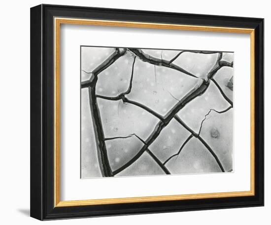 Cracked Mud, High Sierra, California, 1960-Brett Weston-Framed Photographic Print