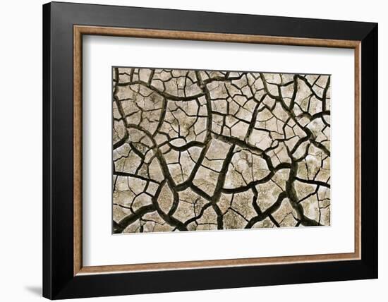 Cracked Mud in Dry River Bed During Summer. Surrey, UK-Alex Hyde-Framed Photographic Print