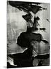 Cracked Paint, 1970-Brett Weston-Mounted Premium Photographic Print