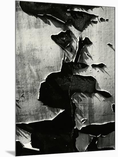 Cracked Paint, 1970-Brett Weston-Mounted Premium Photographic Print