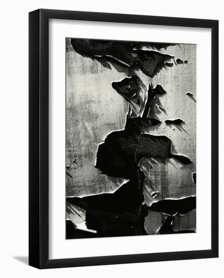 Cracked Paint, 1970-Brett Weston-Framed Photographic Print