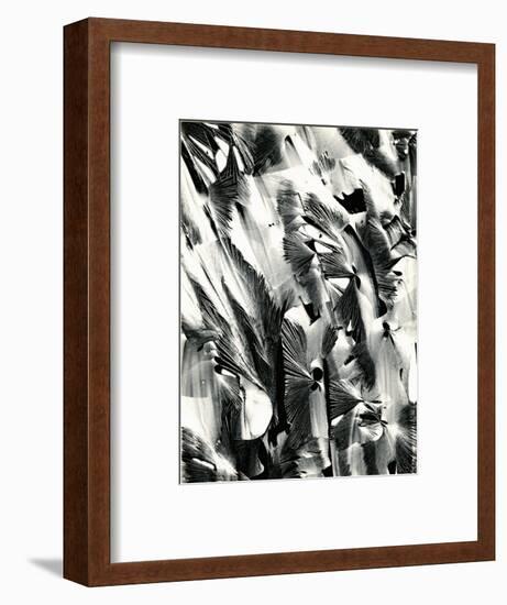 Cracked Plastic Paint, Garrapata, 1951-Brett Weston-Framed Photographic Print