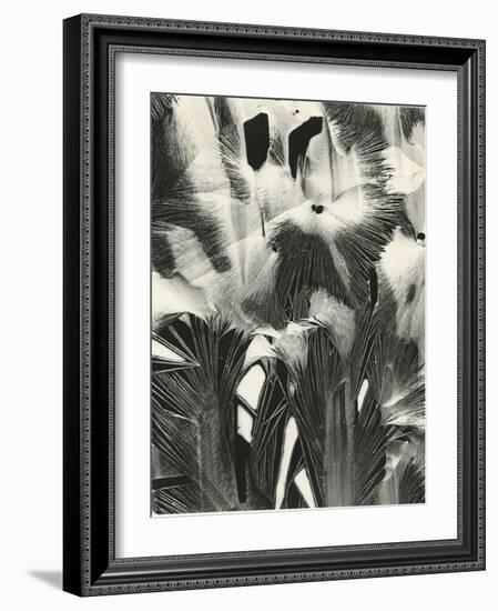 Cracked Plastic Paint, Garrapata, 1954-Brett Weston-Framed Photographic Print