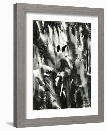 Cracked Plastic Paint, Garrapata, 1955-Brett Weston-Framed Photographic Print