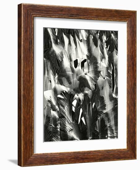 Cracked Plastic Paint, Garrapata, 1955-Brett Weston-Framed Photographic Print