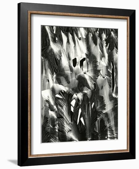 Cracked Plastic Paint, Garrapata, 1955-Brett Weston-Framed Photographic Print