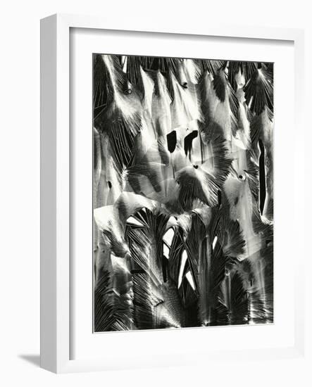 Cracked Plastic Paint, Garrapata, 1955-Brett Weston-Framed Photographic Print