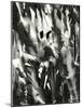 Cracked Plastic Paint, Garrapata, 1955-Brett Weston-Mounted Photographic Print