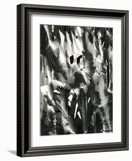 Cracked Plastic Paint, Garrapata, 1955-Brett Weston-Framed Photographic Print