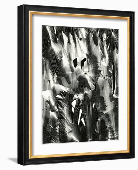 Cracked Plastic Paint, Garrapata, 1955-Brett Weston-Framed Photographic Print