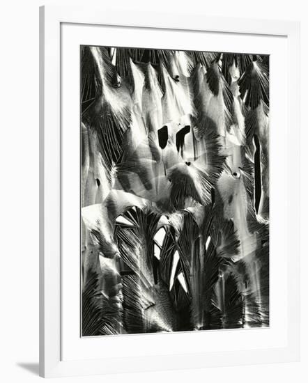 Cracked Plastic Paint, Garrapata, 1955-Brett Weston-Framed Photographic Print